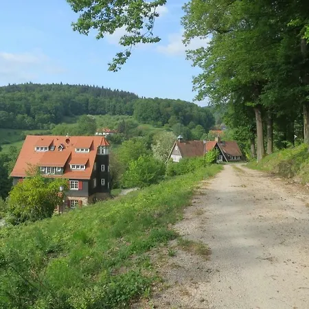 Wildbach Daire Ober-Hambach