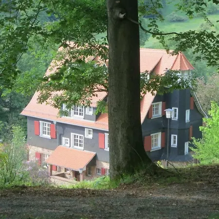 Wildbach Ober-Hambach