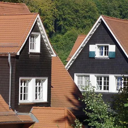 Apartment Wildbach *