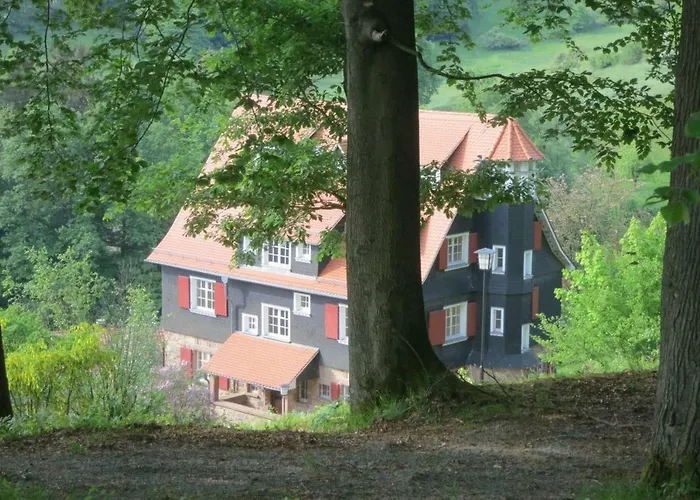 Wildbach Ober-Hambach